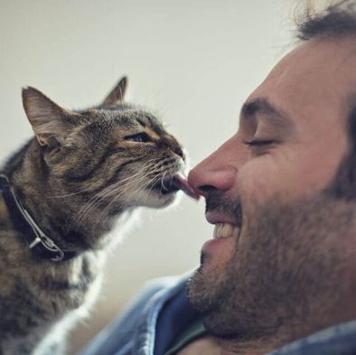 cat licking man's face