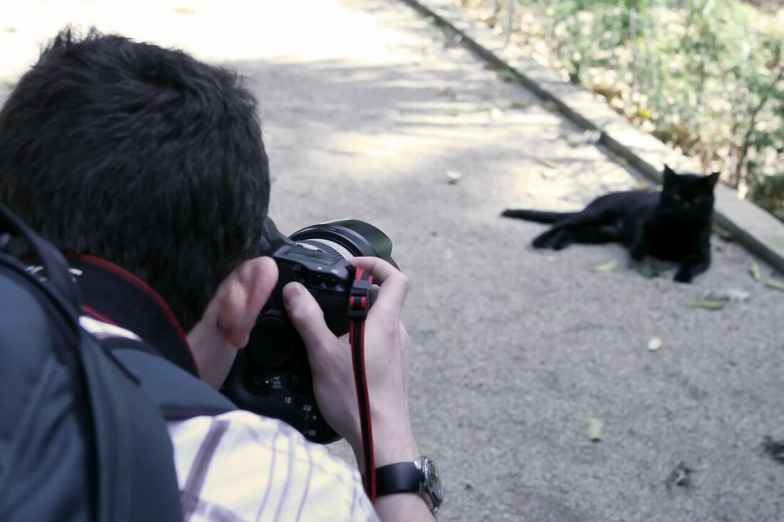 man taking picture of black cat on street